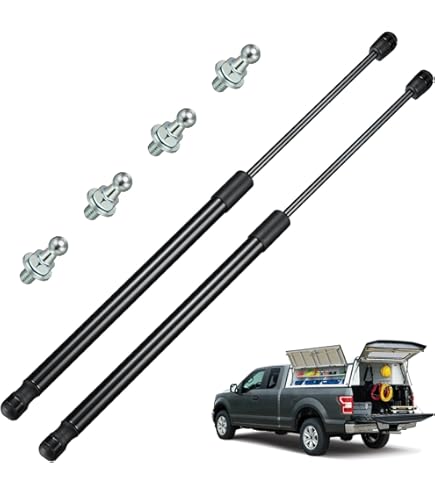 PAMAGOO 713119 Lot De 2 Vérins à Gaz De 66 Cm Et 36,3 Kg