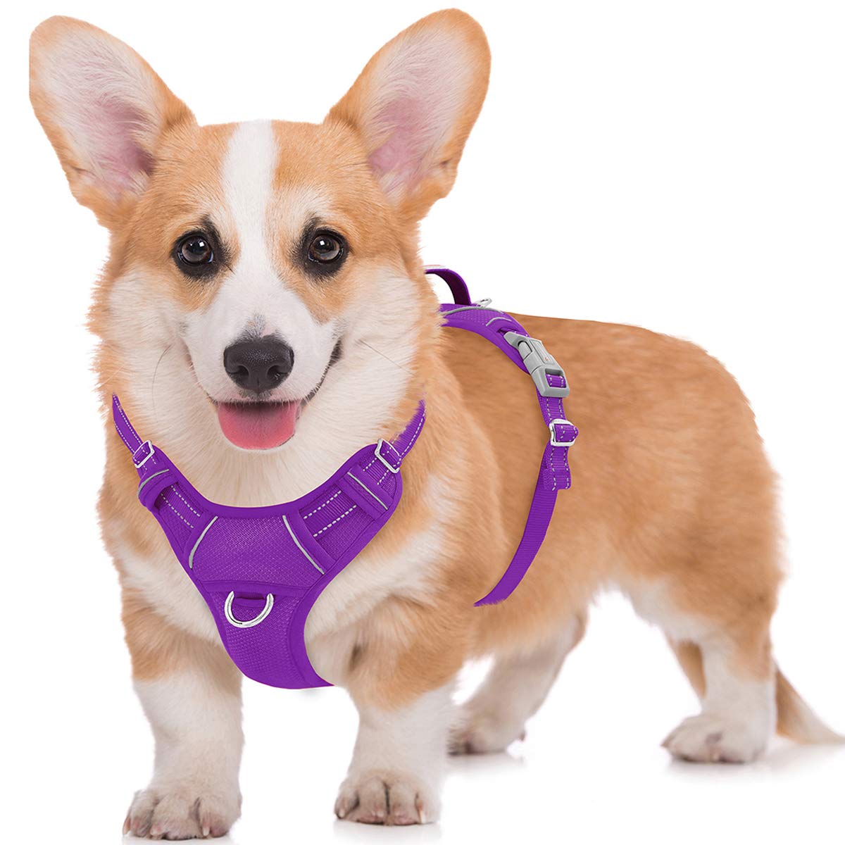 Photo 1 of BARKBAY No Pull Dog Harness Large Reflective Dog Harness with Front Clip and Easy Control Handle for Walking Training Running with ID tag Pocket(Purple,M)