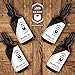 Beard Oil 4 Pack (Vanilla, Sandalwood, Cedarwood, Citrus) – All Natural Leave-in Conditioner to Soften and Style Beards and Mustaches – Made with Tea Tree, Jojoba, Argan Oils - 1oz Each