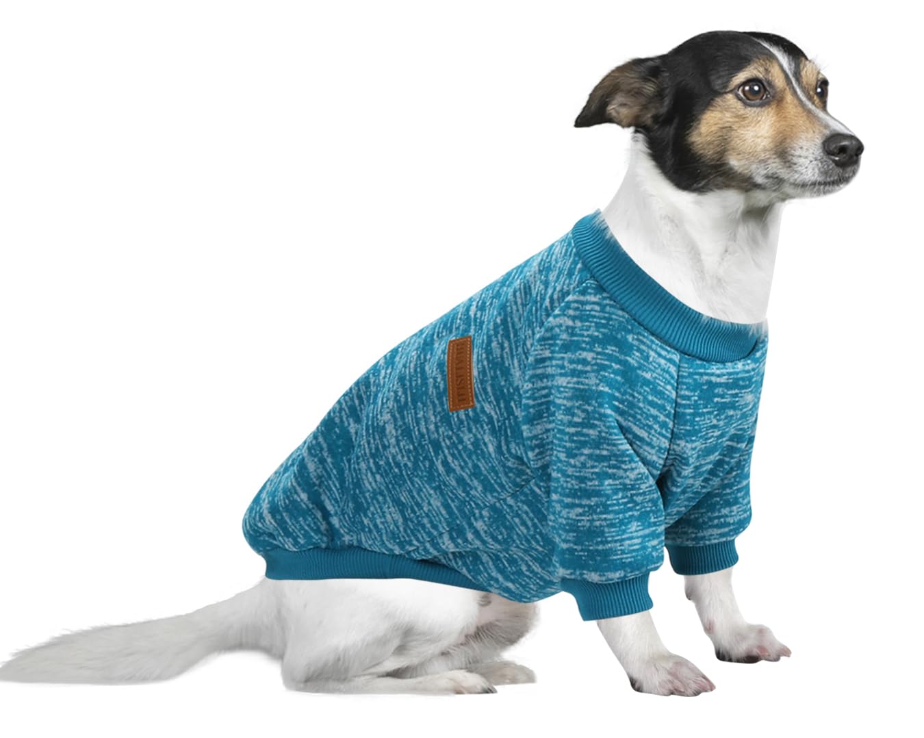 HuaLiSiJi Large Dog Jumper Large Dog Sweatshirt Chihuahua Jumper Fleece Inside Soft Cozy, Colour Vibrant Easy to Take On and Off (Blue, 5XL)