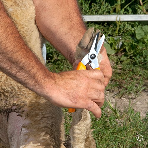 Premier ExoTrim Serrated Hoof Trimmer