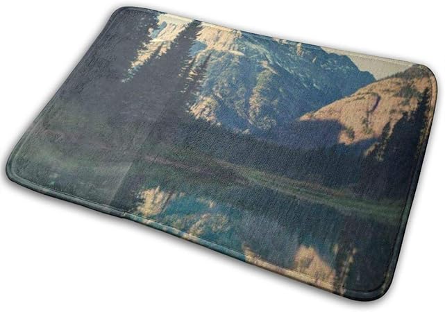 SUPERQIAO Universelle rutschfeste Fußmatten, Begrüßungsmatten für den