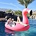GoFloats Giant Inflatable Flamingo | Includes Bonus Flamingo Drink Float | New for 2018