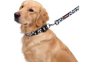 Dog Adjustable Collar and Leash Set for Daily Outdoor Walking Running Training, Bone Design for Small Medium Large Boys Girls