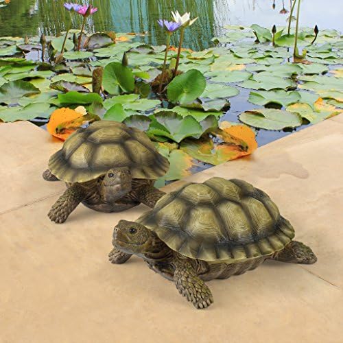 Statue of a turtle design for backyard pond decoration by Design Toscano, priced at $29.99 as of August 9, 2023.