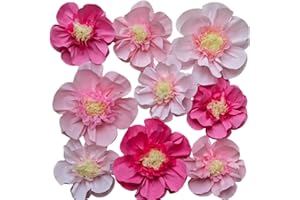 Mybbshower Crepe Paper Flower for Wall Psprt Pom Pom Decor Girls Birthday Party Backdrop Baby Shower Nursery Room Decoration 