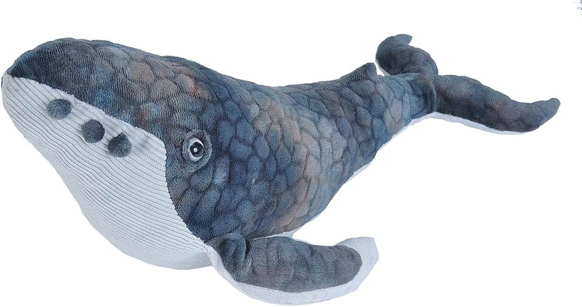 Amazon.com: Wild Republic Humpback Whale Plush, Stuffed Animal, Plush Toy, Gifts for Kids ...