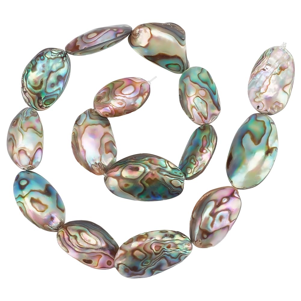 BENECREAT 1 Strand 15pcs Abalone Shell Charms Natural Abalone Shell Beads Irregular Paua Shell Beads Loose Beads for Bracelet Earrings, DIY Jewelry Making, 38cm