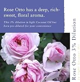 Absolute Aromas Rose Otto Essential Oil 3% Diluted in Coconut Oil 10ml view 2
