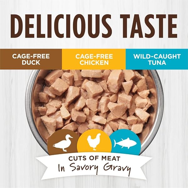 INSTINCT HEALTHY CRAVINGS NATURAL WET CAT FOOD TOPPER, GRAIN FREE RECIPE – VARIETY PACK, 3 OZ. POUCHES (PACK OF 12)