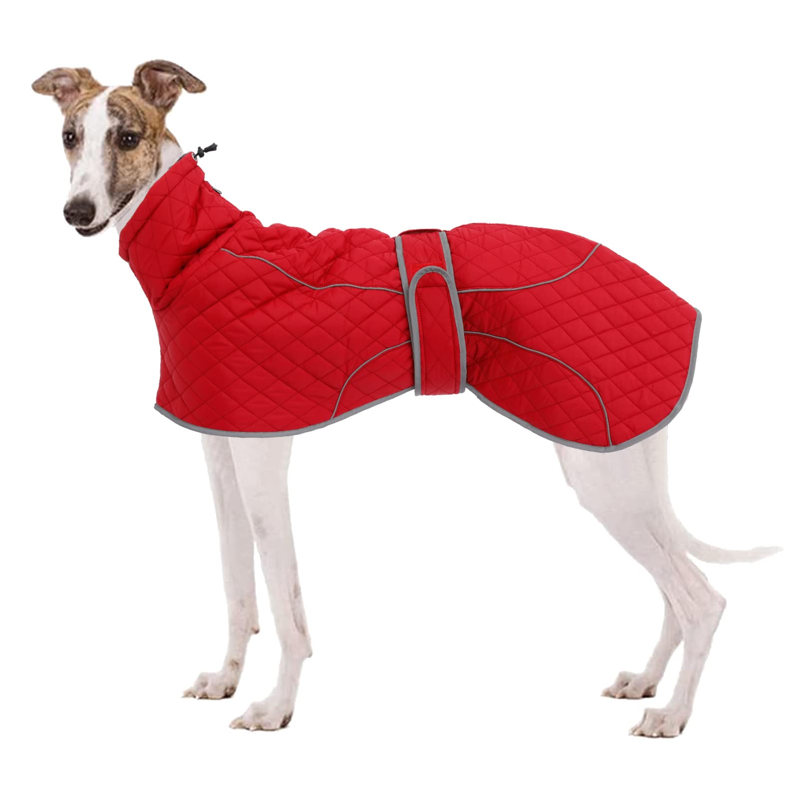 Morezi Greyhound Winter Coat, Whippet Coat with Padded Fleece Lining, Water Resistant Dog Jacket with Hook and Loop Closure and Reflective Trim Safety - Red - Medium