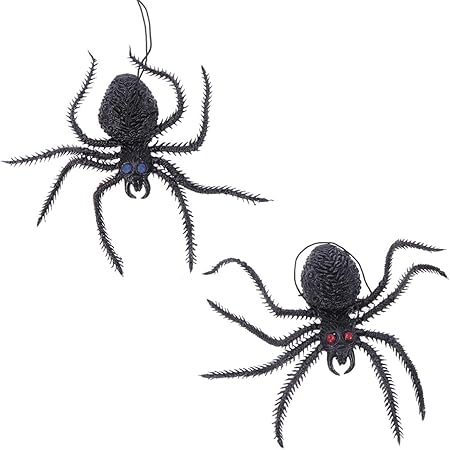 Disegno Di Ragno Da Colorare Disegni Da Colorare E Stampare Gratis