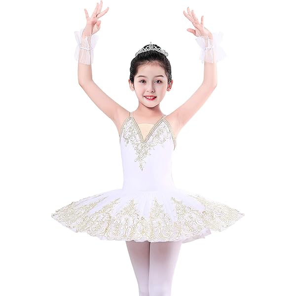Amazon.com: ZX Girl's Ballet Swan Lake Tutu Costume Professional