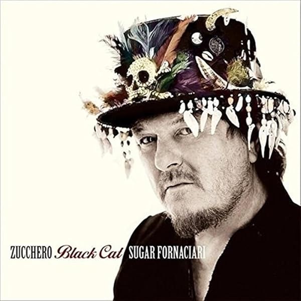 (未使用･未開封品)Zucchero ?? The Best Of Zucchero Sugar Fornaciari Video Greatest Hits (VHS) Zucchero – The Best Of Zucchero Sugar Fornaciari's