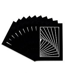 Pack of Ten Acid Free 12x16 Mats Bevel Cut for