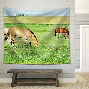 Three Horses Grazing - Fabric Wall Tapestry Home Decor - 51x60 inches
