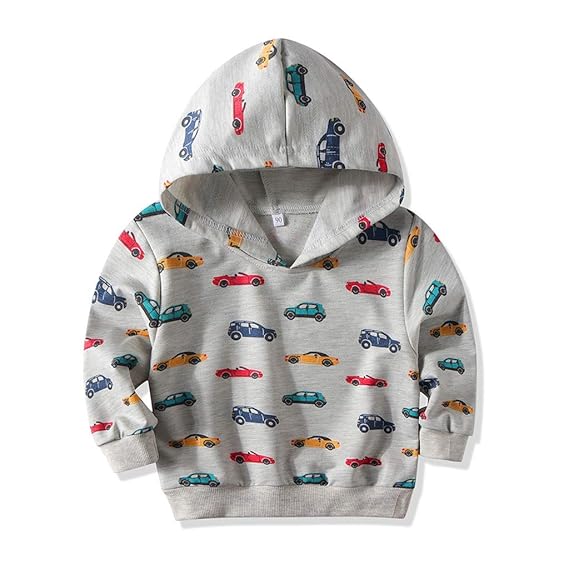 baby boy hooded sweatshirt