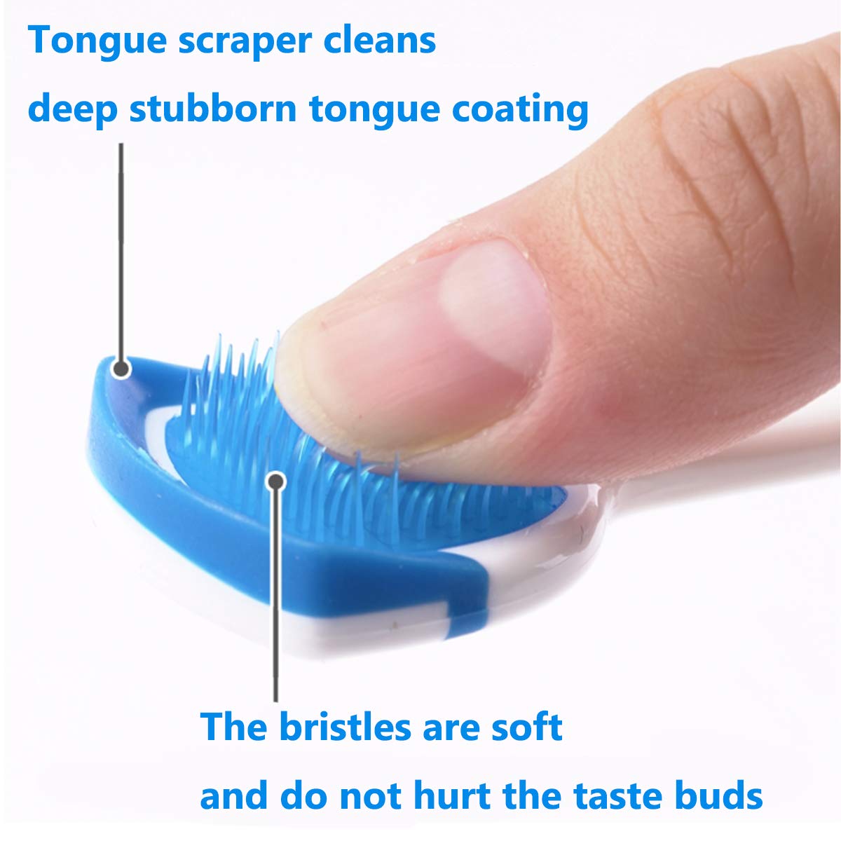 Tongue Brush, Tongue Scraper, Tongue Cleaner Helps Fight Bad Breath, Professional Tongue Brush for Freshing Breath, 2 Tongue Scrapers - 2 Pack (Blue + Green) : Beauty