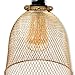 Rustic State Industrial Retro Style Mesh Wire Cage for Pendant Ceiling Lamp (Gold)