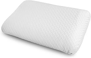Ambesonne Visco Foam Pillow with Double Bushed Polyester Cover, Airing Holes Breathable Fresh Pad Hotel Grade Comfortable Removable and Machine Washable Inner and Outer Shams, 30