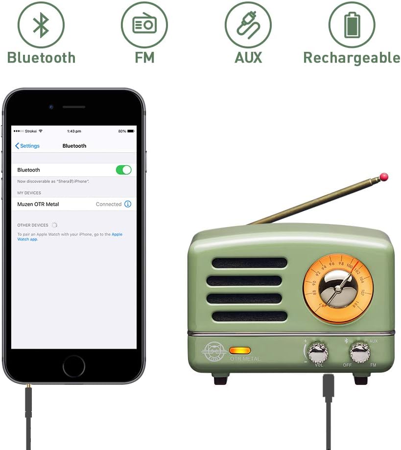 Retro Bluetooth Speaker, MUZEN OTR Metal Vintage FM Radio, Portable Wireless Loud Volume Speaker, Small for Family Friend Birthday Holiday Outdoor Home Décor Camping Car - Mint Green: Home Audio & Theater