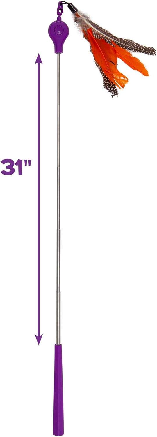 Jackson Galaxy Air Prey Cat Wand Cat Toy : Pet Supplies