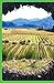 Lonely Planet New Zealand's South Island Road Trips 1 (Road Trips Guide)