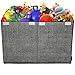Toy Chest and Storage Box | House Organization Products | Toy Organizer Bins and Toy Bin Organizer for Tots Toys | Girls Toy Box or Boys Toy Box | Kids Room Storage or Living Room Storage (Dark Gray)