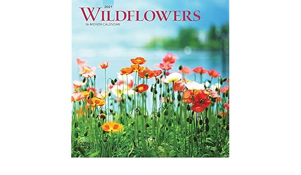 desert wildflowers 2021 mini calendar Wildflowers 2021 7 X 7 Inch Monthly Mini Wall Calendar Flower Outdoor Plant Browntrout Publishers Inc Browntrout Publishers Editing Team Browntrout Publishers Design Team Browntrout Publishers Design Team 9781975425692 Amazon Com Books desert wildflowers 2021 mini calendar