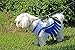 Pets First NBA Golden State Warriors Dog Cheerleader Dress, X-Small
