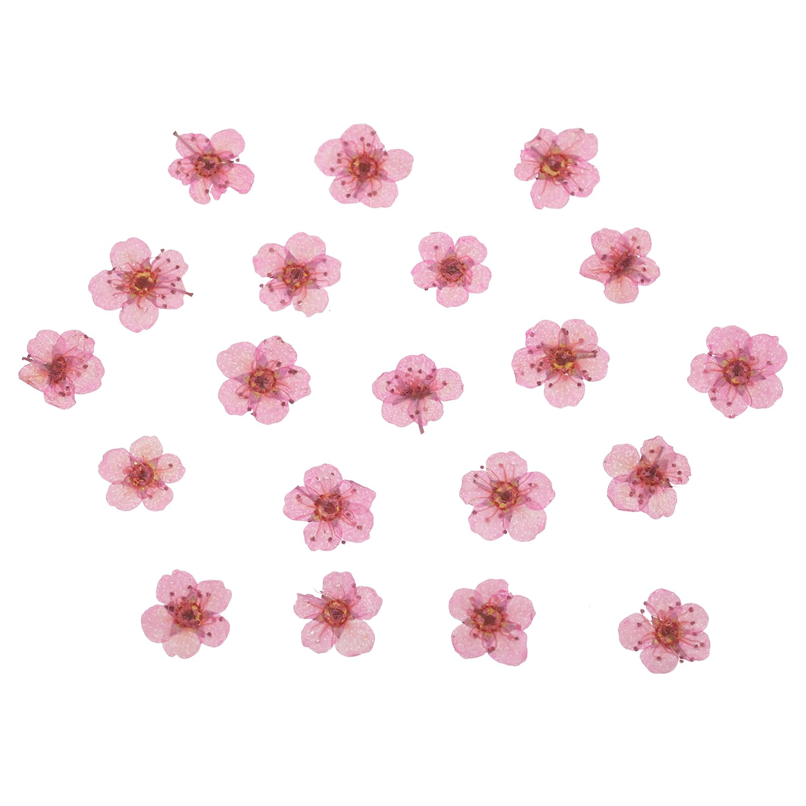 PATIKIL Dried Pressed Flower, 60 Pcs for Resin DIY Crafts Nail Art Cards Scrapbooking Jewelry Making Floral Decor Candle Decors, Pink
