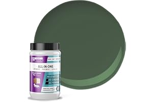 Beyond Paint All-in-One Refinishing Paint, No Sanding, Matte Finish for Cabinets, Countertops, Furniture and Doors, 1 Quart, Forest Green