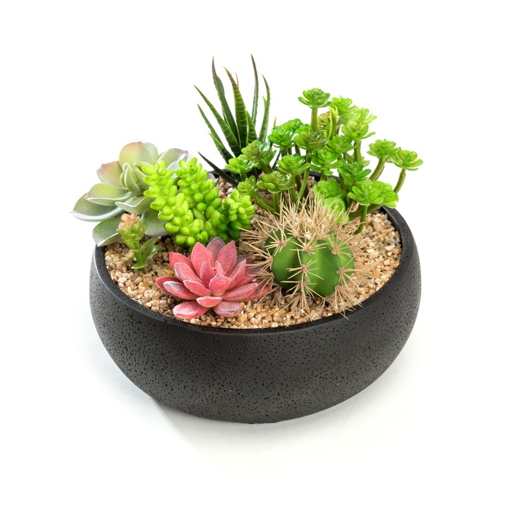 Photo 1 of Nattol Succulent Planter, 8.9 inch Modern Style Round Cement Succulent Plant Pot/Cactus Holder (Black)