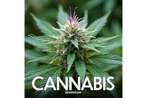 Cannabis 2026 Calendar: Nature, Leaves, and Herbal Inspiration