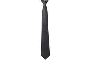 Aster Men's Clip on Ties Pre Tied Neckties Black Clip-on Tie Skinny Neck Tie for Wedding Office Graduation School Uniforms