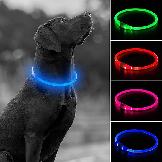 USB Rechargeable LED Dog Collar Glow in The Dark TPU Pet
