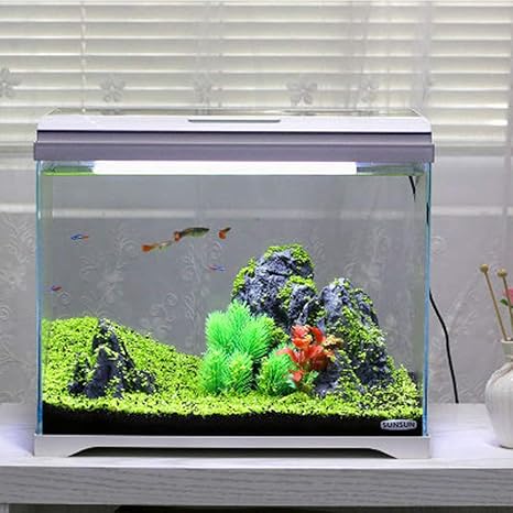 Amazon Co Jp 水槽アクアリウムスターターキットと蓋付きled水槽キットミニ水槽ホームリビングルームオフィススマート水族館水陸両用生態学空のシリンダー創 ホーム キッチン