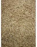 5LBS Creeping Red Fescue(Festuca Rubra) Fully Tested, Fast Germination