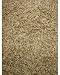 5LBS Creeping Red Fescue(Festuca Rubra) Fully Tested, Fast Germination
