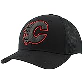 ZHATS NHL Unisex-Adult NHL Officially Licensed Adjustable Snapback Hat Dakota Element Black