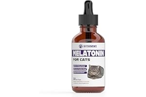 IVITAMINS Melatonin for Cats | Supports Healthy, Restful Sleep for Your Cat | Cat Stress Relief | Cat Calming | Cat Anxiety Relief | Cat Melatonin | Anxiety Relief for Cats | Cat Sleep Aid | 1 fl oz