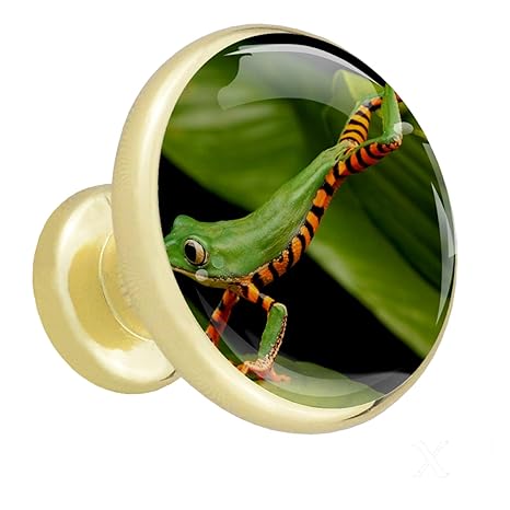 Kommode Schubladen Knopf Gold Tierischer grüner Frosch