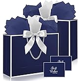 Ethhqu Fancy Large Gift Bags with Handles, 2 Pack 12.6x10x4 Inches - Includes Tissue Paper & Cards for Birthday, Valentine's Day, Baby Shower, Wedding, Anniversary & Holiday Gifts (Blue and Silver)