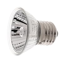 Amazon.de Bestseller: Die beliebtesten Artikel in LED-Beleuchtung für