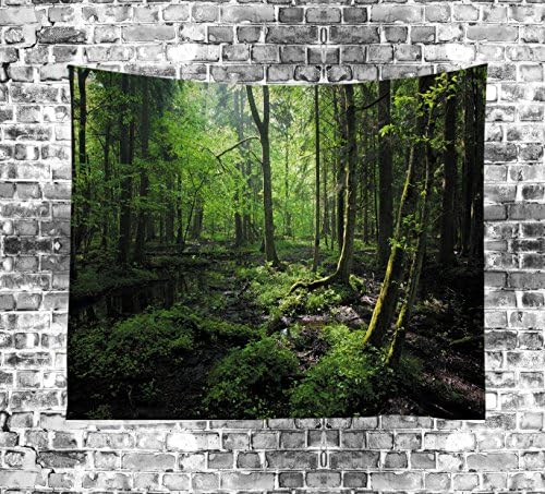 Decorative Wall Hanging Tapestry | Queen 60 80 inches | Bohemian Hippie Art Curtains Drape | Table Top Sofa Cover | Mandala sheet Picnic Beach Towel | Ethnic decor Bed Spread (Mist Light Forest)