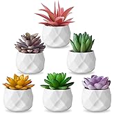 ZINHO Fake Succulent Plant Set 6 PCS Artificial Succulent Plants for Desk Realistic Faux Succulents in Plastic Pots Mini Colorful Succulent Decor for Bedroom Bathroom Office Shelf Decor (Mix)