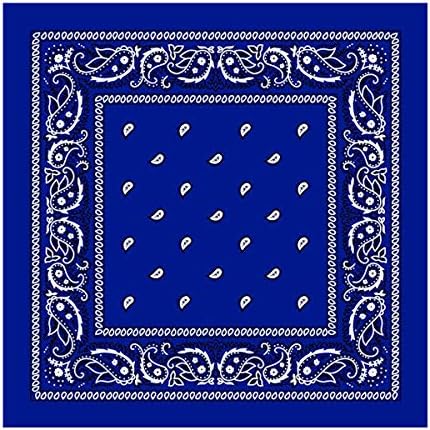 Amazon.com: Red Paisley Bandana - Single Piece 22x22 : Clothing