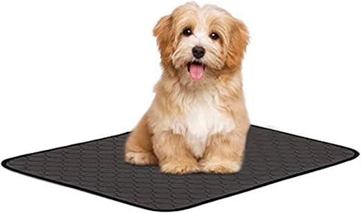 amazon empapadores perro