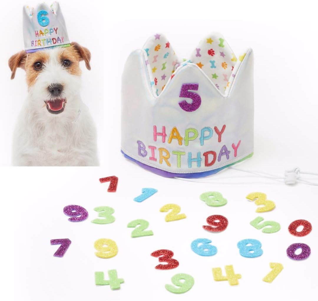 Pet London Happy Birthday Crown Hat for Dogs & Cats-Add Any Age-Glitter Numbers Included (20pcs), Celebrate Pets Birthday