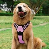 rabbitgoo Dog Harness Large No Pull Reflective Pink Adjustable Vest view 9